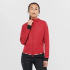 Rojos